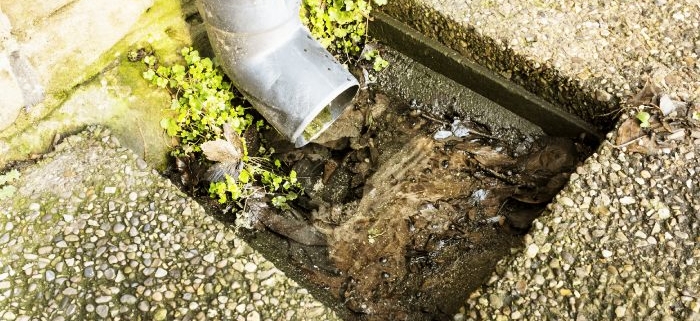 Blocked drains