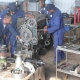 plant training