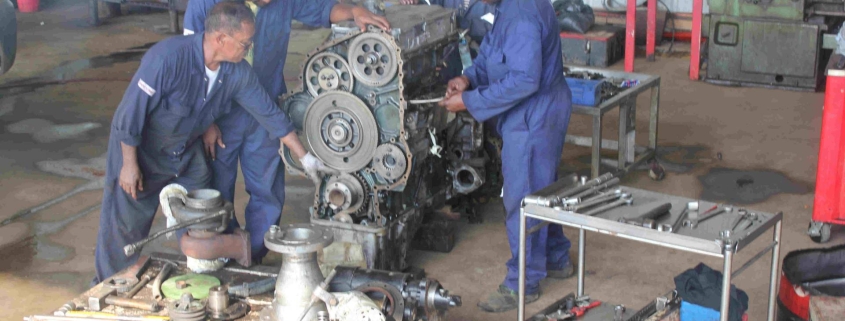 plant training